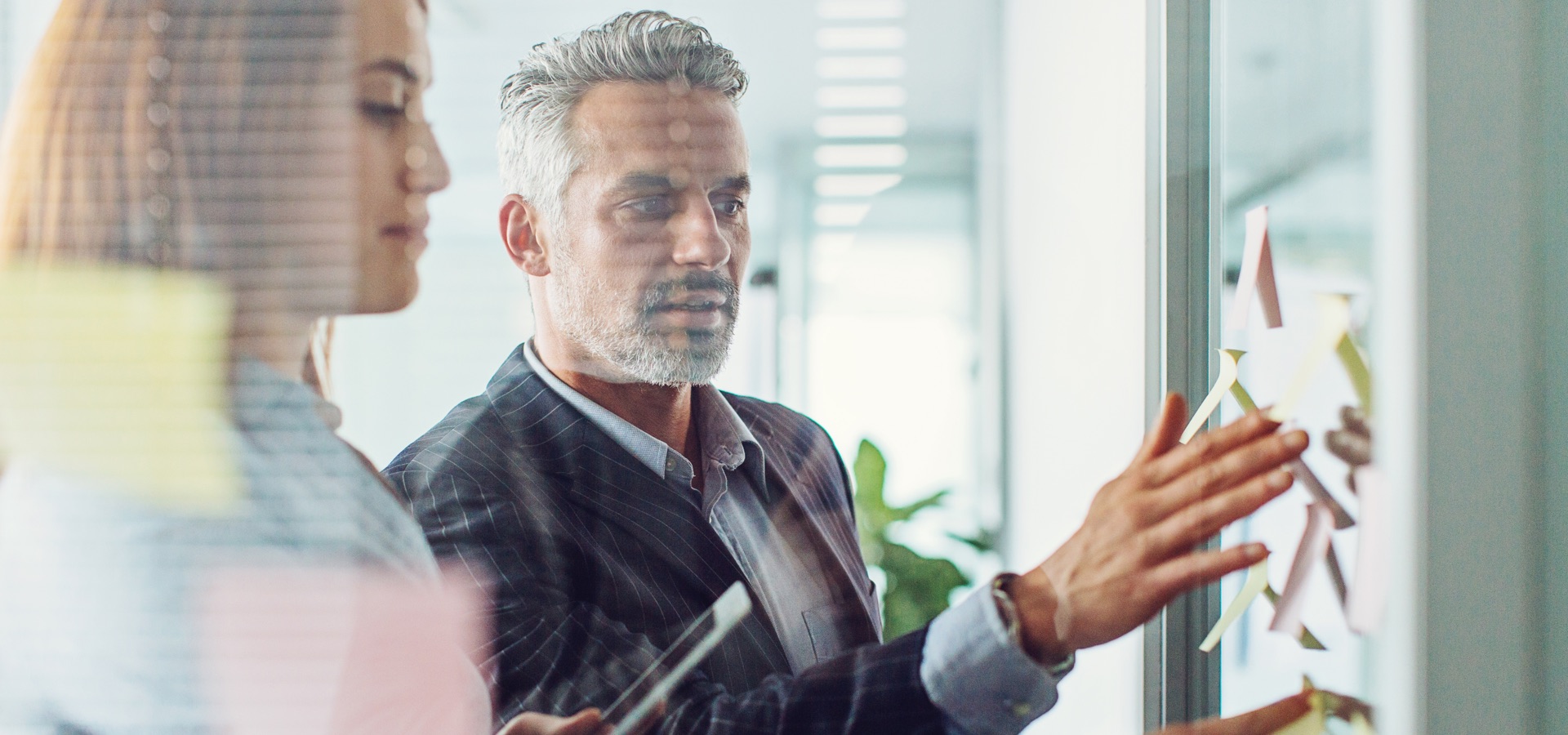 What is risk intelligence? alva